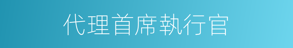 代理首席執行官的同義詞