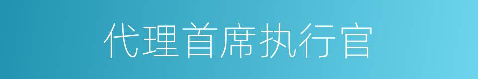 代理首席执行官的同义词