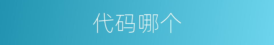 代码哪个的意思