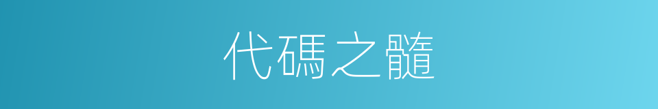 代碼之髓的同義詞