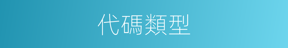 代碼類型的同義詞