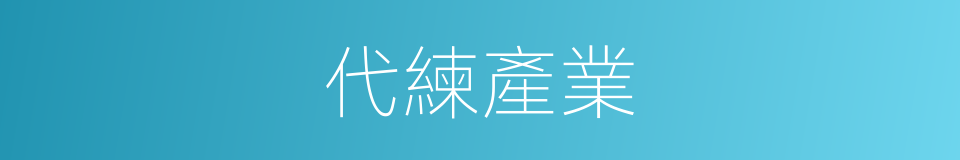 代練產業的同義詞