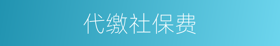 代缴社保费的同义词