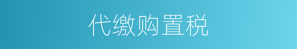 代缴购置税的同义词