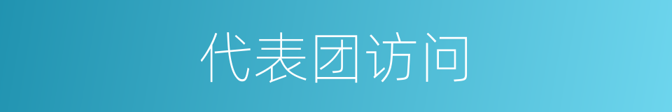 代表团访问的同义词