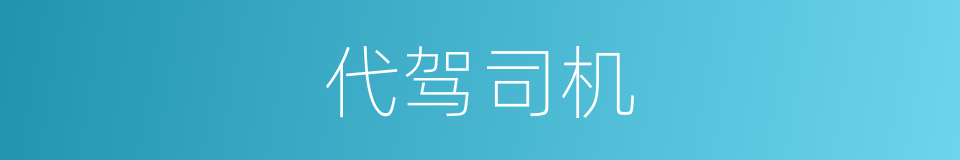 代驾司机的同义词