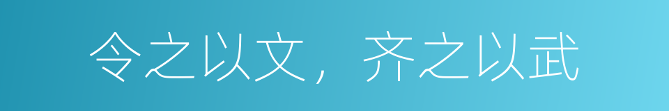 令之以文，齐之以武的同义词