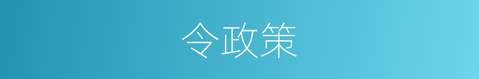 令政策的同义词