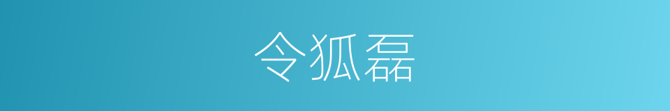 令狐磊的同义词