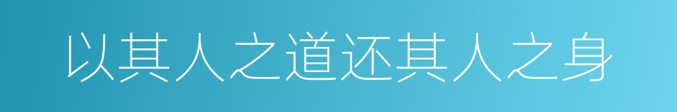 以其人之道还其人之身的同义词