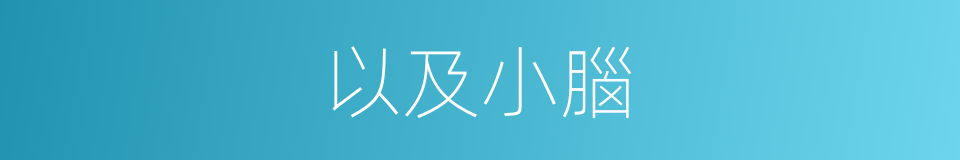 以及小腦的意思