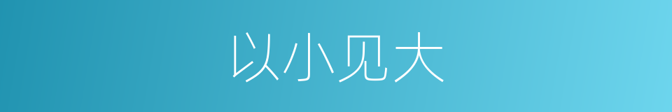 以小见大的意思