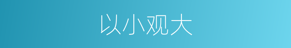 以小观大的同义词