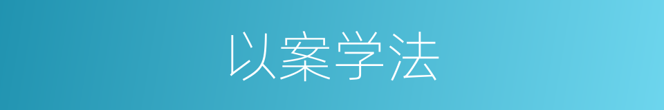 以案学法的同义词