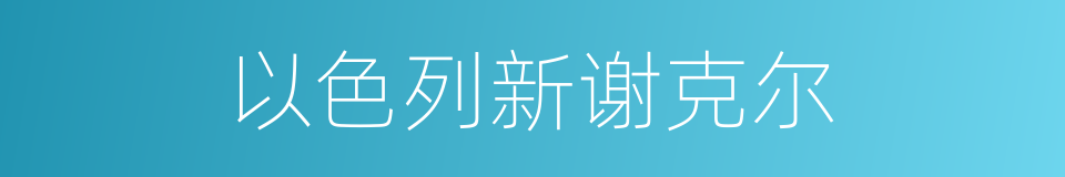 以色列新谢克尔的同义词