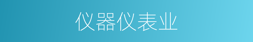 仪器仪表业的同义词