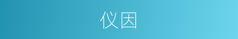 仪因的同义词