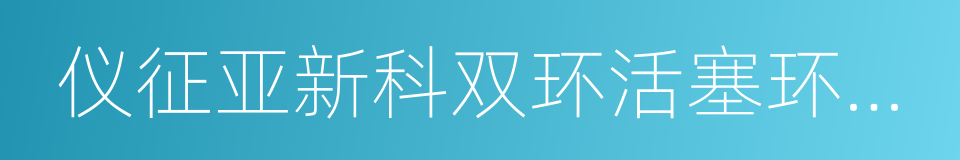 仪征亚新科双环活塞环有限公司的同义词