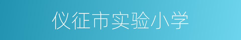 仪征市实验小学的同义词