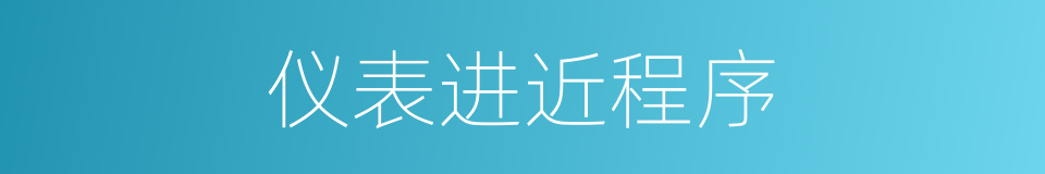 仪表进近程序的同义词