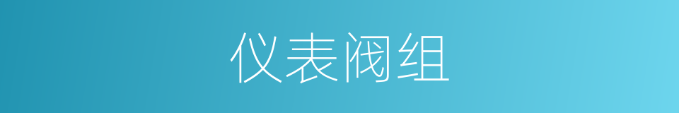 仪表阀组的同义词