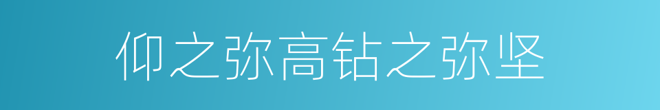 仰之弥高钻之弥坚的同义词