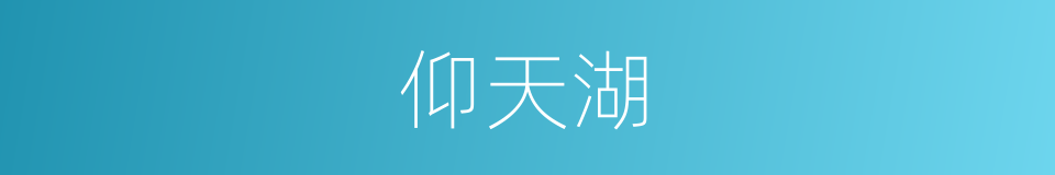 仰天湖的同义词