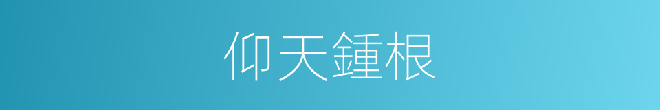 仰天鍾根的同義詞