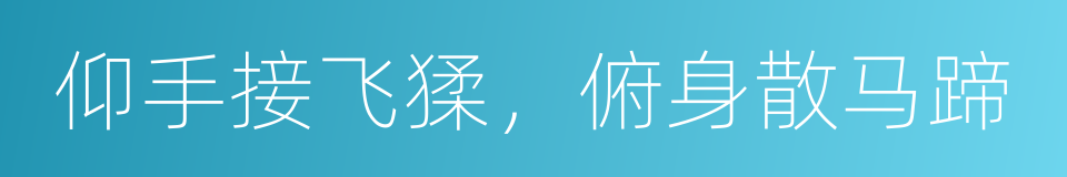 仰手接飞猱，俯身散马蹄的同义词