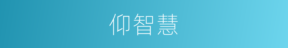 仰智慧的同义词