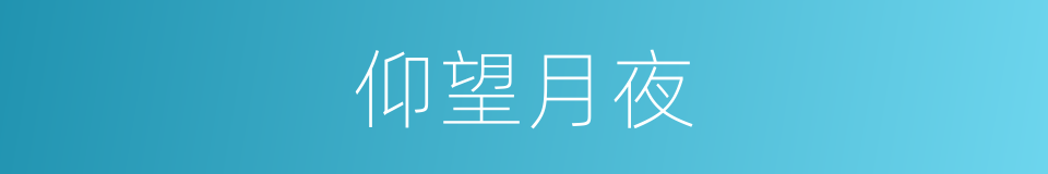 仰望月夜的同义词