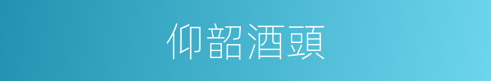 仰韶酒頭的同義詞