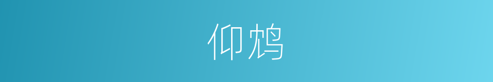 仰鸩的意思