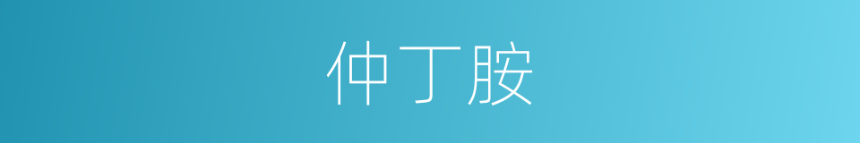 仲丁胺的同义词