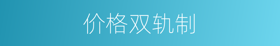 价格双轨制的同义词