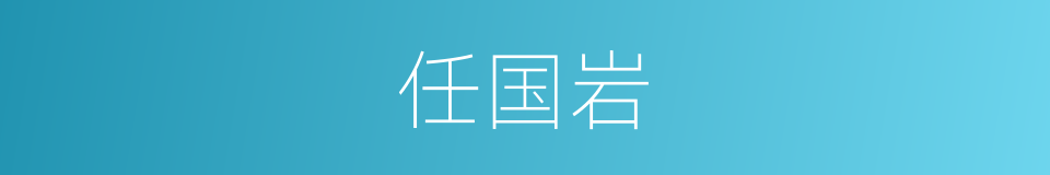 任国岩的同义词