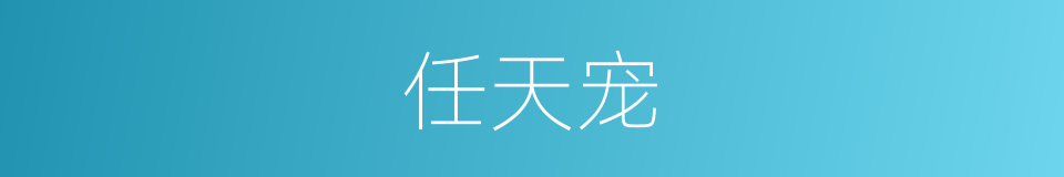 任天宠的同义词