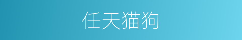 任天猫狗的同义词