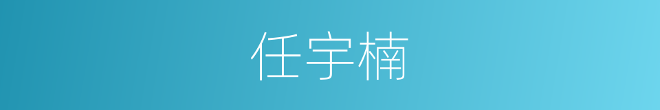 任宇楠的同义词
