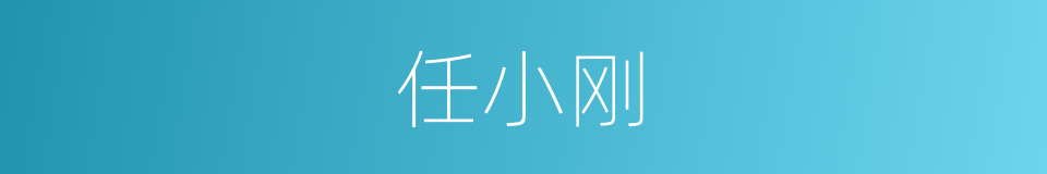 任小刚的同义词