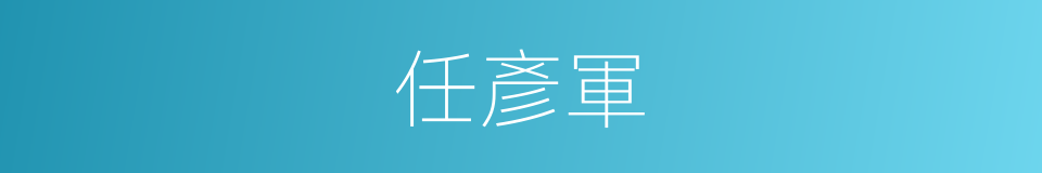 任彥軍的同義詞
