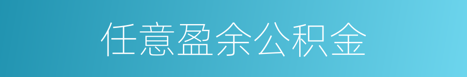 任意盈余公积金的同义词