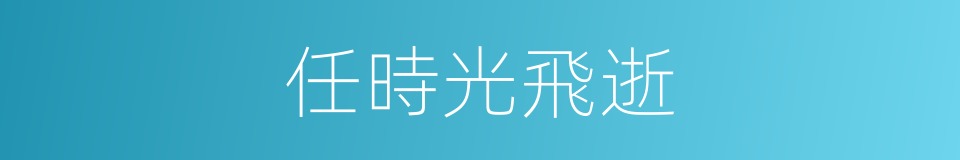 任時光飛逝的同義詞