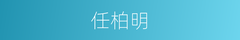 任柏明的同义词