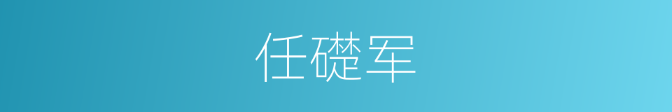 任礎军的同義詞