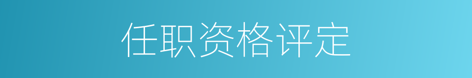 任职资格评定的同义词