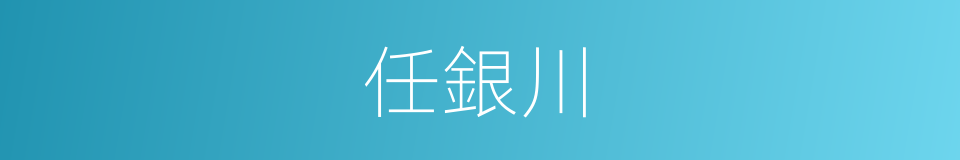 任銀川的同義詞