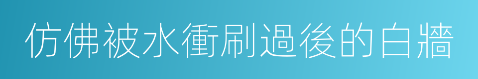 仿佛被水衝刷過後的白牆的同義詞