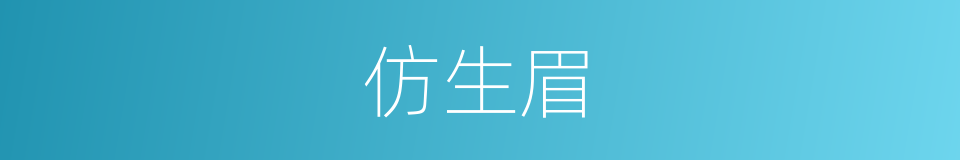 仿生眉的同义词