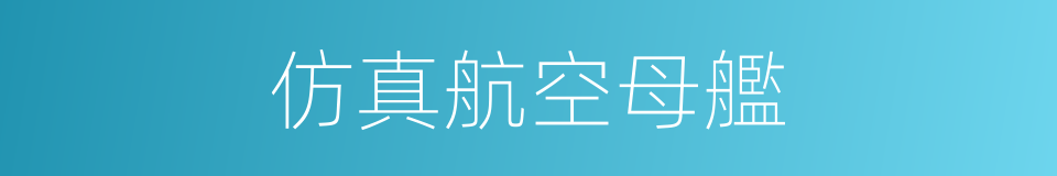 仿真航空母艦的同義詞